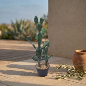 קקטוס נופך מלאכותי בעציץ