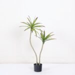 עץ דרקון מלאכותי בעציץ שחור - 110cm