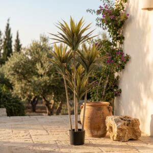 עץ דרקון מלאכותי בעציץ שחור