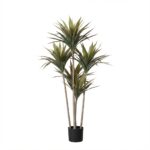 עץ דרקון מלאכותי בעציץ שחור - 120cm