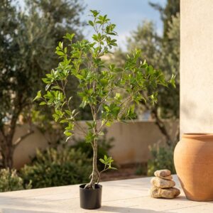 עץ מאוקסה מלאכותי