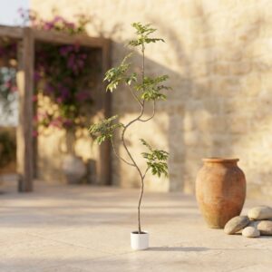 עץ עלה לכה מלאכותי בעציץ לבן