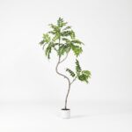 עץ עלה לכה מלאכותי בעציץ לבן - 120cm