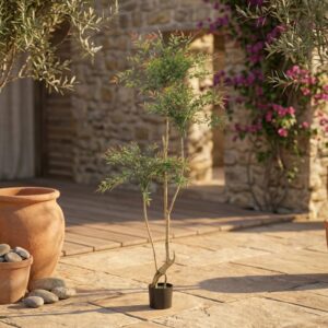 ננדינה מדורגת בעציץ שחור