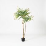 ננדינה מדורגת בעציץ שחור - 120cm