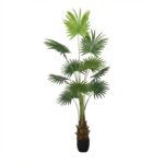 דקל טנג מלאכותי - 180m