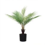 דקל ארקה מלאכותי בעציץ שחור - 60cm