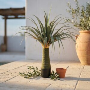 דרצנה דרקו מלאכותית בעציץ שחור