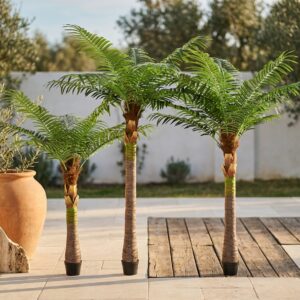 עץ דקל ארקה מלאכותי