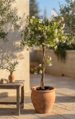 עץ תפוח מלאכותי