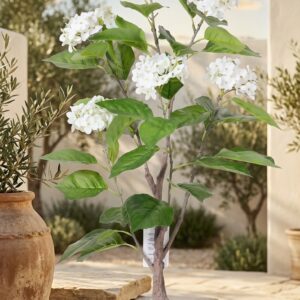 הורטנזיה לבנה מלאכותית סדרת אלגנס