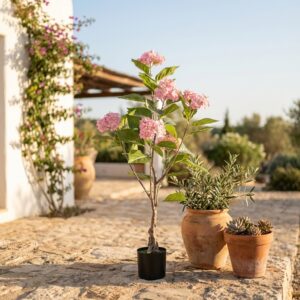 הורטנזיה ורודה מלאכותית סדרת נטורה