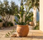 סט צרור קקטוס מניפה מלאכותי