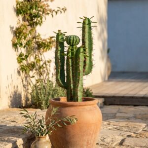 קקטוס מלאכותי שלושה עמודים וכדור