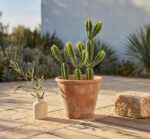 סט קקטוס מלאכותי דמוי פרווה לבנה