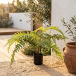 שרך זנב דג מלאכותי בעציץ