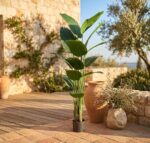 סטרליציה מלאכותית 180 ס"מ