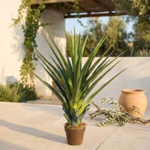 פנדנוס מלאכותי בעציץ