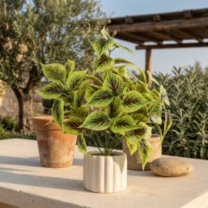 עציץ שוטרה מלאכותי בעציץ קרמיקה