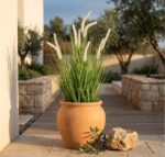 עשב זנב שועל מלאכותי