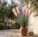 עשב פמפס מלאכותי ורוד