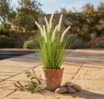 עשב זנב שועל מלאכותי