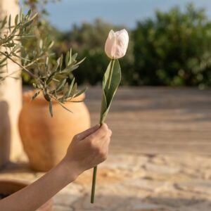 צבעוני מלאכותי