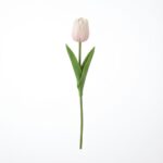 צבעוני מלאכותי - לבן-ורוד