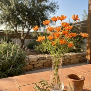 צרור פרחי קמומיל מלאכותיים כתומים