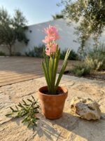 פרח פריזיה מלאכותי ורוד