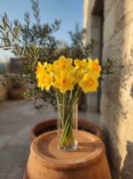 נרקיס מלאכותי 3 ראשים