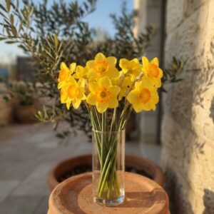 נרקיס מלאכותי 3 ראשים