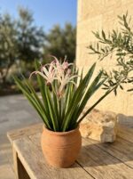 סחלב עכביש מלאכותי 3 ראשים