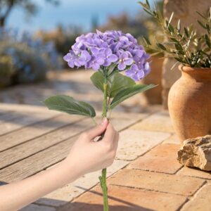 הורטנזיה מלאכותית סגולה