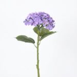 הורטנזיה מלאכותית סגולה - סגול, גדול