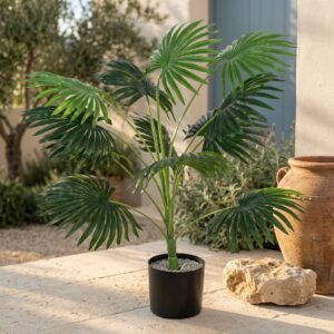 דקל מלאכותי בעציץ שחור