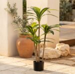 דרקונית מגוונת מלאכותית בעציץ שחור