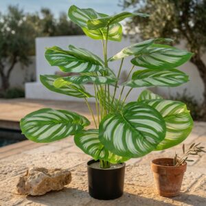 עציץ קלתאה מלאכותי