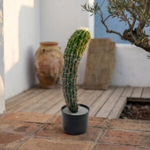 קקטוס מקסיקני מלאכותי בעציץ