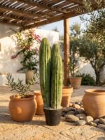 עמוד קקטוס שלושה גזעים מלאכותי