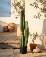 קקטוס עמוד זוגי מלאכותי