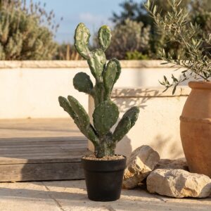 קקטוס נוף מלאכותי בעציץ