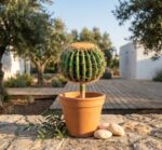 קקטוס מלאכותי כדורי