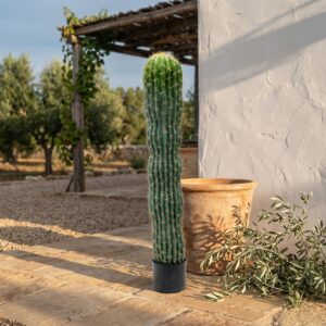 קקטוס מקסיקני מלאכותי