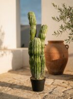 קקטוס מלאכותי שלושה גזעים