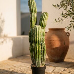 קקטוס מלאכותי שלושה גזעים