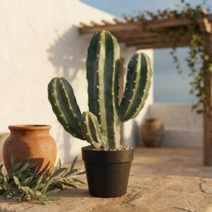 קקטוס מלאכותי ארבעה ראשים