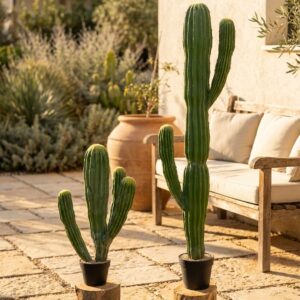 קקטוס מקסיקני מלאכותי רב-ידיים