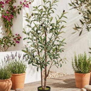 עץ זית מלאכותי בעציץ שחור