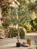 עץ זית מלאכותי בעציץ שחור